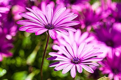 侦探游戏《摩西及柏拉图-去爪镇最后一班火车》Steam页面 发售日待定